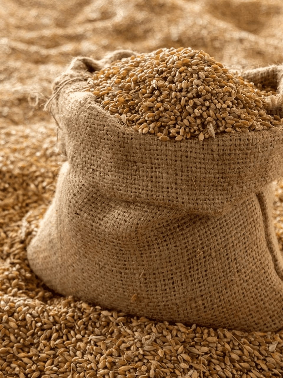 Why Should You Choose Cold-Pressed Flour Over Regular Flour?