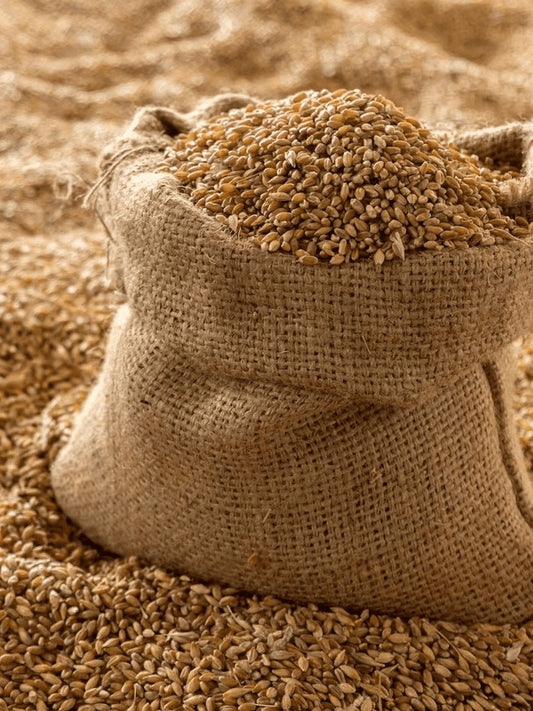 Why Should You Choose Cold-Pressed Flour Over Regular Flour?