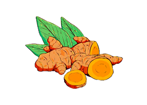 Turmeric