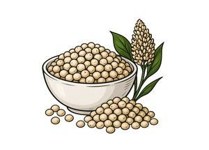 Jowar
