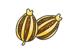 Ajwain